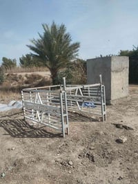 دبل قمرة • بابل • كفل