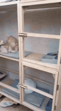 قفص للبيع طابقين العرض 40 والطول 175 الارتفاع السعر 55 الف تواصل 07709...