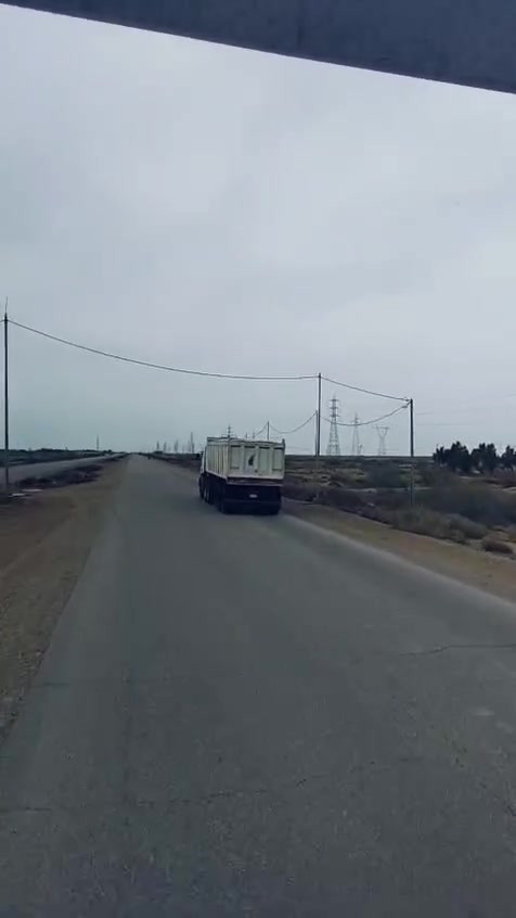 عربانه ماموت للبيع كفاله عامه ***********
