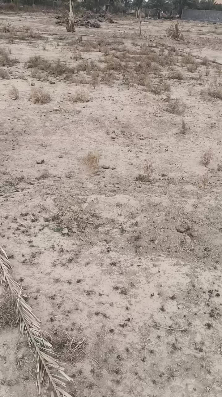 للبيع قطعه ارض مساحتها 300قرب مرقد العلويه شريفه بنت الحسن يبعد عن المرقد100متر قريبه للسوك مال المرقد سند 25مداور بسم المشتري اتصل وترهم نصين فلوس رقم الهاتف ***********
