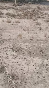 ٣٠٠م • قرب المرقد • سند ٢٥