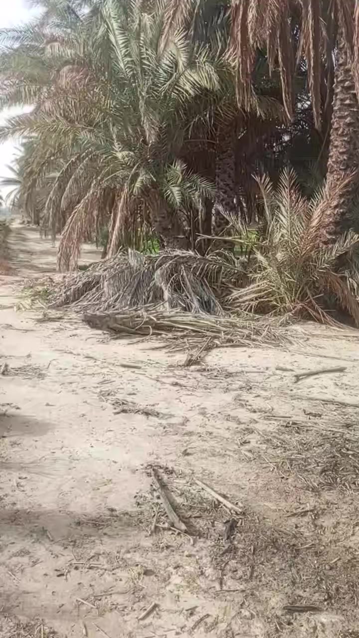 دونم للبيع طابو عقد زراعي 117

مقابل العلويه شريفه يصلح كراج سيارات اوالمحلات 

او سكن بسعر مناسب جدا جدا جدا 

***********///ابو علوش ☎️☎️👉👉
