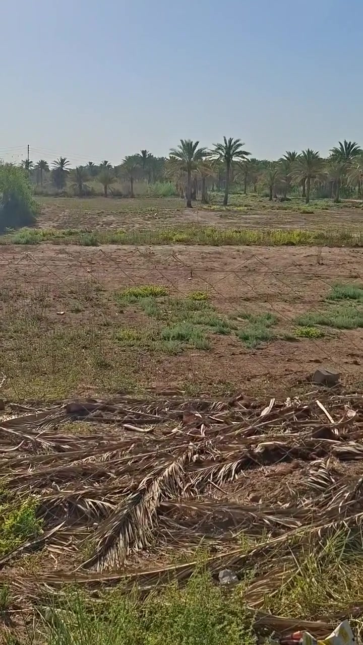 دونم مباشر عالشارع سند ٢٥ تجاري يصلح مخازن او سكن
 واجهيه ١٦ متر ونزال ١٤٠ من وسط الدونم يصير عرضه ٢٣ متر 
(منطقه السياحي ابو طماطه )

شارع تبليط عالجدول مباشرة 
للاستفسار  ***********
***********

