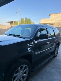 جمسي دنلي • ٢٠٠٩ • ابو خصيب