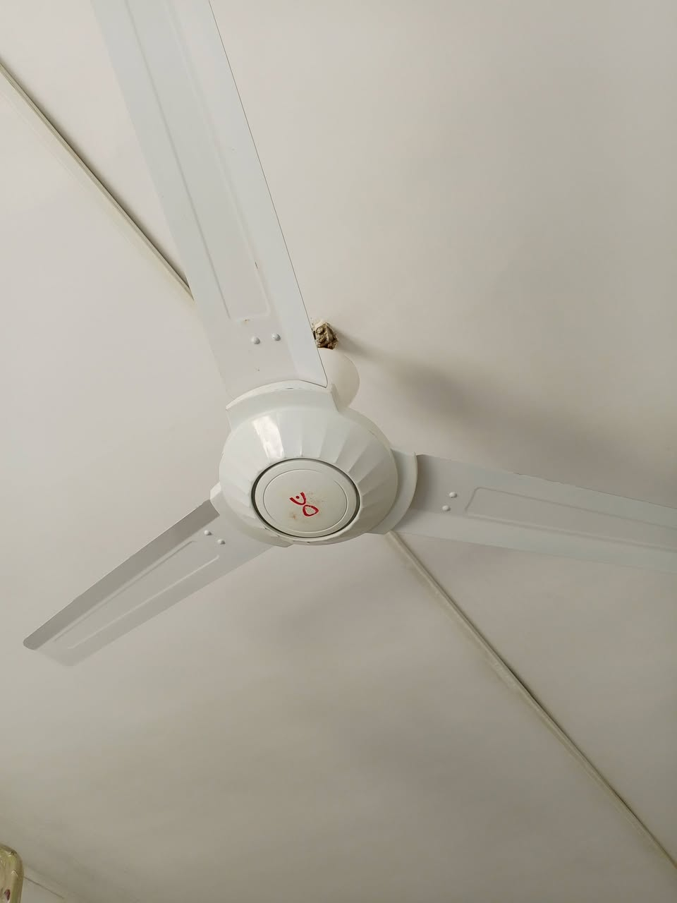 @إشارة 
مروحة صناعة هندية
مكان الشامية


**إذا كنت صاحب هذا الإعلان وتريد حذفه لأي سبب، رجاءا أرسل رسالة إلى الدعم الفني**