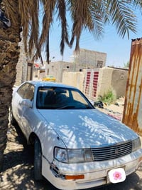 بطه متصل • تبريد ثلج • رقم بصره