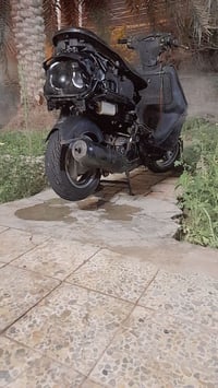 فراشة • مجال