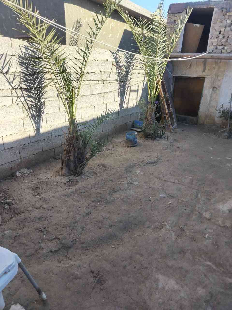 بيت للبيع طابو 400 متر الجعارة طريق بسماية السعر 70 
للاستفسار ‏‪***********‬‏
