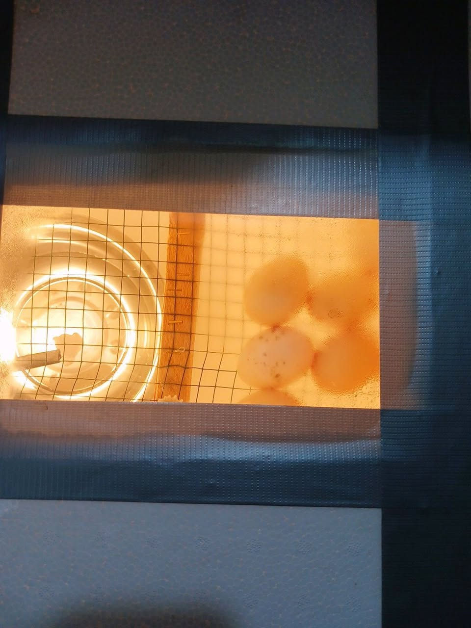 متوفره فقاسه تاخذ 100 بيضه درجه اولى شرط التفقيس متفقس ترجع راسلني وتدلل


**إذا كنت صاحب هذا الإعلان وتريد حذفه لأي سبب، رجاءا أرسل رسالة إلى الدعم الفني**