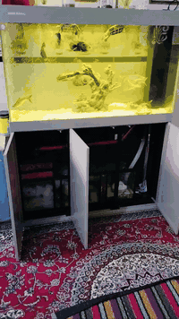 احواض جديده متر سامب احترافي 6 مراحل  120 سم سامب احترافي 07723640981