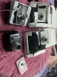 شلعة • مفرد • تختلف الاسعار