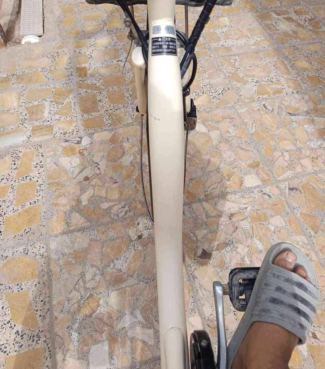 باسكل ✈️ ✈️ ✈️ للبيع 💥
سعر90⚜️
حجم26💥
ياباني ⚜️
مكينه شيمانو💥
بطيخه جبيره⚜️
باسكل مختم من تاير لل تاير 💥
وحديد كله لحيم درجه أوله⚜️


**إذا كنت صاحب هذا الإعلان وتريد حذفه لأي سبب، رجاءا أرسل رسالة إلى الدعم الفني**