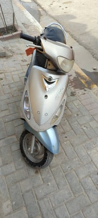 ماكس منغولي • ديوانية • للبيع