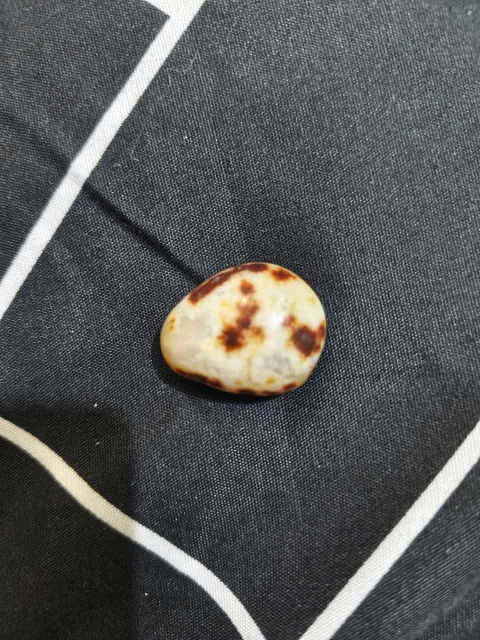 سلام عليكم خرز للبيع كلمن الو سعره


**إذا كنت صاحب هذا الإعلان وتريد حذفه لأي سبب، رجاءا أرسل رسالة إلى الدعم الفني**