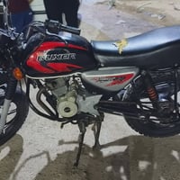 بوكسر جبلي • ٢٠١٩ • اوراق ضايعه