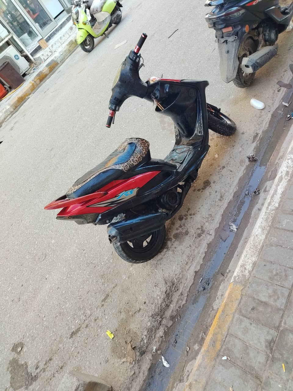 منغولي عدله للبيع ***********
