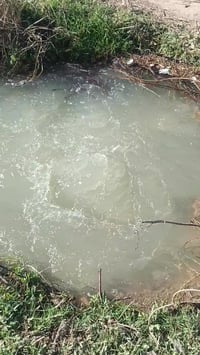 للبيع م 600 متر كلش حلووه كاع سند 25 تحويل مباشر بسم المشتري تبعد عن ت...