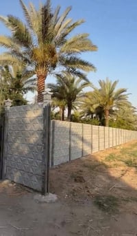 دونم طابو زراعي سند 25 للبيع العنوان المدائن منطقة الجعارة خدمات كاملة...