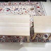 طبلة وسطية • طبلات صغار • المشتل