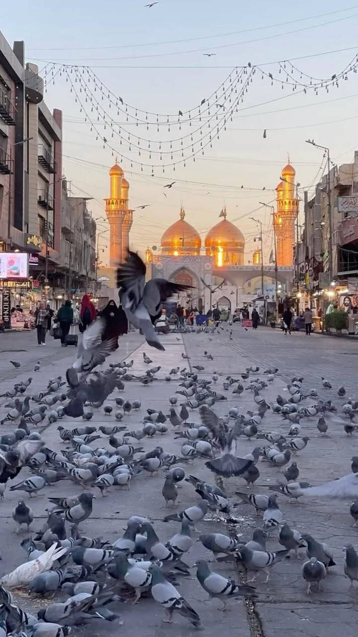 ✨ حملة ثاني ايام    عيد الأضحى المبارك المصادف يوم الخميس  إلى الإمام الكاظم(ع) ومخابز باب الآغا  والجزيرة السياحية  
⏰ الساعة العاشرة صباحا 
💰 السعر: 8 آلاف دينار 
🚌 باصات مريحة وخدمة ممتازة
📍 الحجز والاستفسار على الأرقام التالية:
📞 ***********
***********
