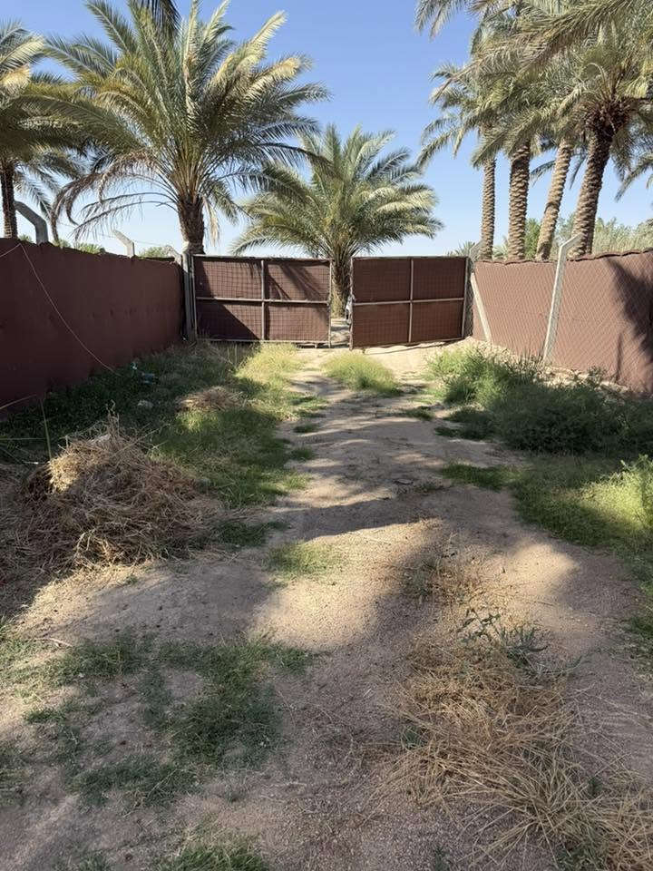 متوفر دونم واحد 1 طابو زراعي سند 25 بسم شخص واحد  /حله الوردية منطقه البونافع
ماء سقي 
ماء اساله 
ماء بير 
يحتوي على عدد من النخيل 
ومسيج بي ارسي
كافة الخدمات متوفرة. 
يبعد عن الشارع 400م
للاستفسار ‭0783 863 5978‬
