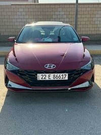 النترا ٢٠٢٣ • فول اوبشن • بدون صبغ