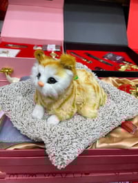 بزونه صوتيه • حجم كبير • مكتبه مشتاق