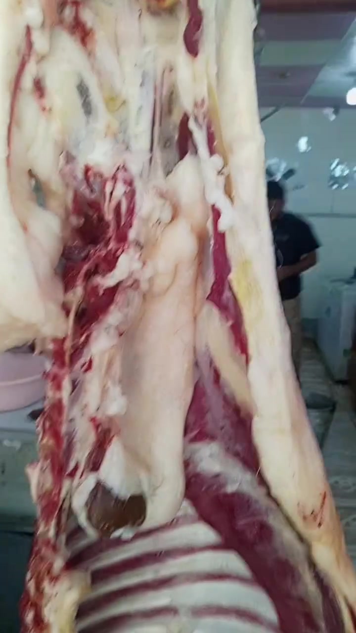 بس يم لحوم الجزيرة.  
لحم الغنم 15 
لحم الجدي 16
لحم عجل الكيلو 13 
سامراء شارع الحداحده مجاور سراج ابو الشربت لحوم الجزيرة 
***********
