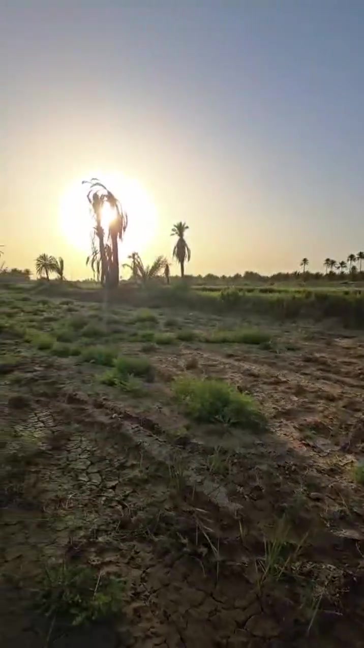 السلام عليكم ٢دونم للبيع سند 25طابو زراعي تحويل باسم المشتري وجه ٢٤ متر ثاني دونم عن التبليط يعني ٣٠ متر عن تبليط العنوان كربلاء رابط الزبيلية خلف دوانم محمد حلو بساتين طيبه
سعر خاص


**إذا كنت صاحب هذا الإعلان وتريد حذفه لأي سبب، رجاءا أرسل رسالة إلى الدعم الفني**