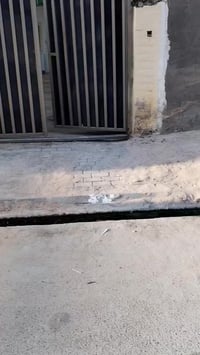 اعلان ٢١٣ للبيع دار طابو صرف ٢٥٠م حي الجامعه ام العصافير طابق واحد مسل...