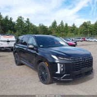 باليسايد • كاليغرافي نايت • ٢٠٢٥