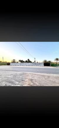 دونم للبيع • ارض زراعية • ارض السنيه السياحي • طابو زراعي • سند طابو •...