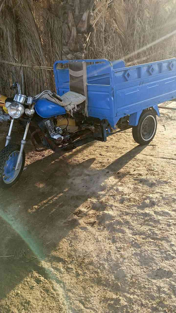 البيع كلك
سعر خاص


**إذا كنت صاحب هذا الإعلان وتريد حذفه لأي سبب، رجاءا أرسل رسالة إلى الدعم الفني**