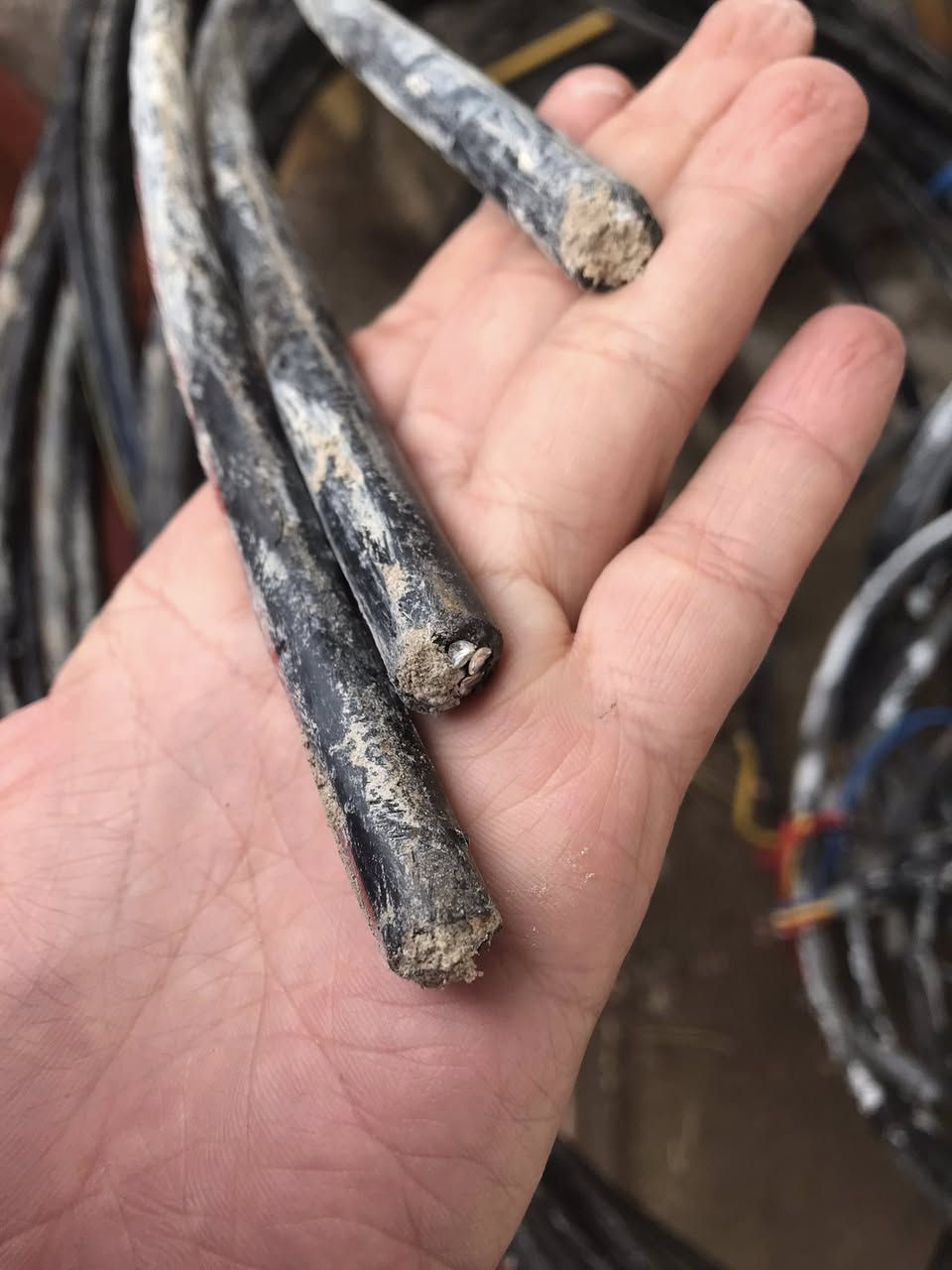 ظفيرة للبيع 
للاستفسار خاص 
او ***********
