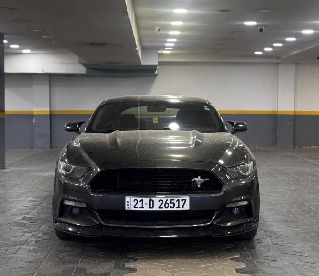 فورد موستنج   للبيع او المرواس حسب القناعة.
🐎V6 3.700 
 
رقم سليمانيه وهزة جديدة ورقم جديد

جاهزة للأخير تخم ويل تاير جديد

كير محرك كفالة جديد 

كهربائيات كله نظيفة 

تخم ويل تراك بكج وتايرات جدد مشلن 

الإضافات:

دعامية cs اصلية شركة شرط

جناح شلبي اصلي 

سكوبات كت كامل كاربون 

دفيوزر شيلبي 

حادث امريكا وجاملغ وبنيد سطحي وهنا بالعراق قطعتين صبغ 

ماشيه 115 الف 

السياره نضيفه وكلشي بيه جديد لحد يقارنها بالي يرادلهن مصرف سياره بدون تفحيط ولا داخله ساحات كلش جديده ونضيفه وتفيد الجنايا 

السعر 140$

للاستفسار :  ***********

المكان :صلاح الدين تكريت
