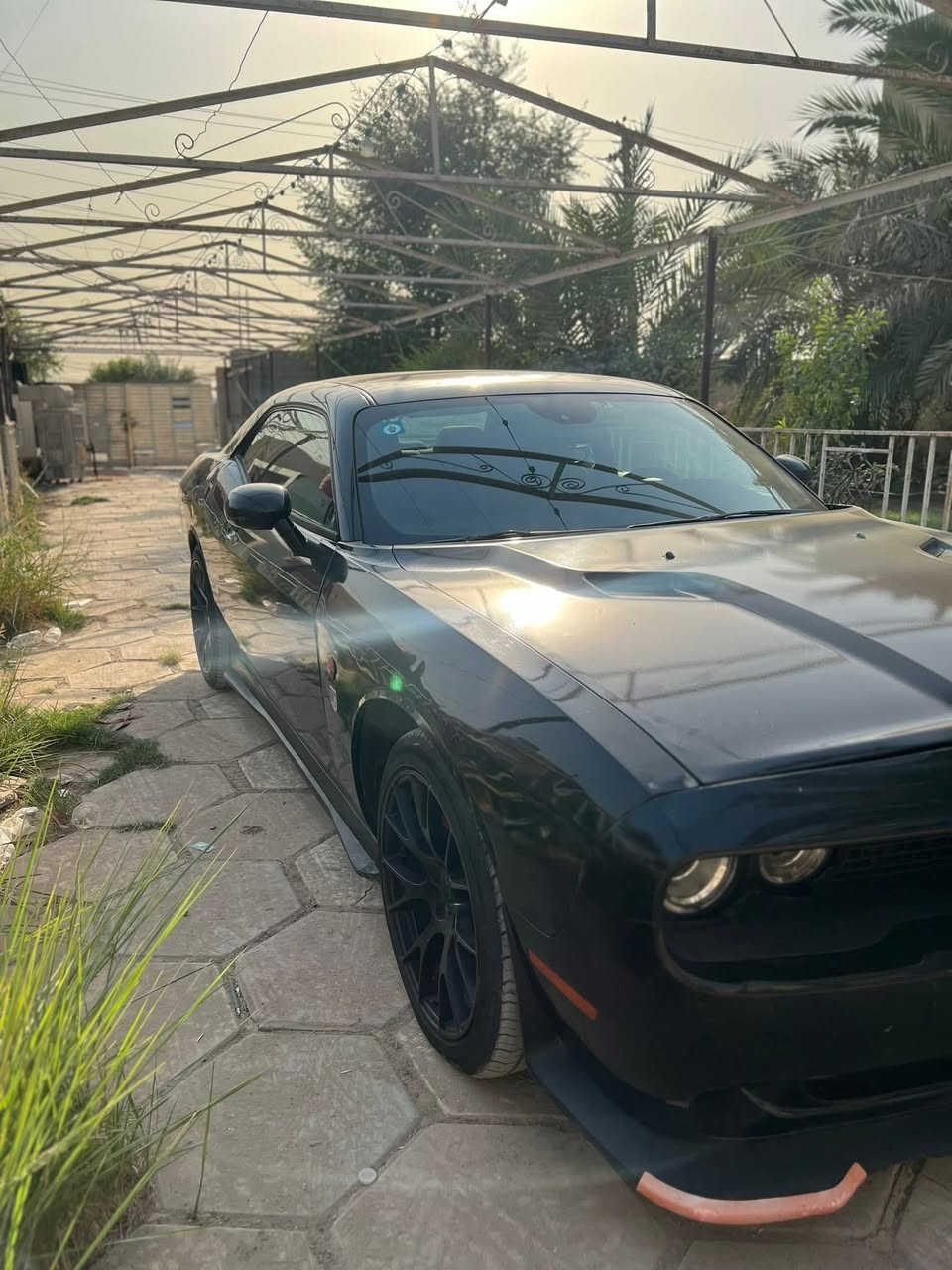 جالنجر 13 sxt للبيع
السلام عليكم

 
للبيع

دوج جالنجر موديل 2013

مواصفات SXT V6 3600

تبريد قطعتين 

شفتات ستيرن

كامرا خلفية

شاشة جبيرة

تحكم ستيرن

كشن الامامي كهرباء

وباقي المواصفات معروفه

سيارة نصبة وكاملة كير مكينه خير من الله 

صدرهة 90‎%‎
نقصهة بس كمبريسر تبريد 

صور الحادث مرفوقه ويه الصور وبيهة سونر

المكان بغداد

*********** واتساب
