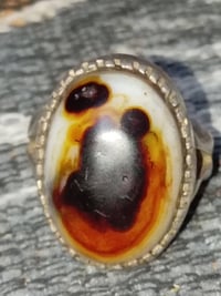 مصور • للبيع • سعر خاص