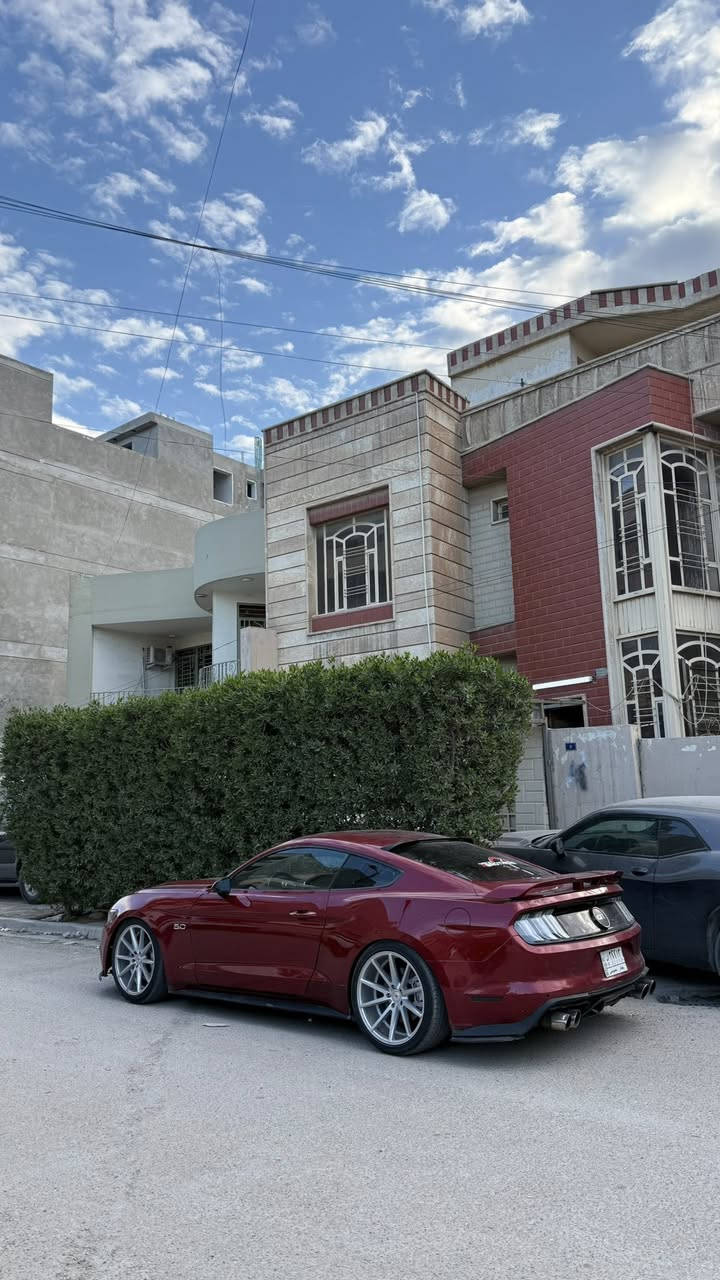 النداء الاخير ماكو هيج جمال ونظافة وقوة بهيج سعر ❤️🔥
جيتي 2015 تراك بكج كير عادي اصل
دخول كلين رقم بغداد تحويل ثاني يوم
بلعراق بيه محدثين بجم شيلبي ورجعته بلاد مال جيتي
ماشية ٥٠ ميل
كير مكينة اكسل بلجيس
صدر امامي نص عمر
صدر خلفي نظيف
كلج وعنبارات جديد
راديترات جديد
جوينات وكوع جديد 
تبريد وكمبريسر جديد
باتري جديد
حساسات اوكسجين جديد
بولش 
شوته jlt
هدرز borla longtube 
X-pipe
دبات dynamite ريمونت 
تبات 
دركة شيلبي 
كشنات ريكارو اصلي زوج 
ويل اصلي 20
ليدات دعامية خلفية 
ليدات دفيوزر
شباك CS فوك اسفل  
لحية سيرفيني 
دفيوزر شيلبي موديل 20
سبويلر تراك بكج موديل 20
شفقة جام خلفي 
مكان بغداد

السيارة نظيفة كلش وجديدة ومدفع 🔥 
154 وبيه مجال للشراي ❤️
***********
