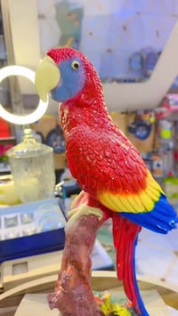 مجمع كرار ممي • المسيب • مفتوح 24 ساعة