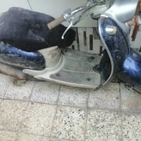 مصرية • عطله • تواير