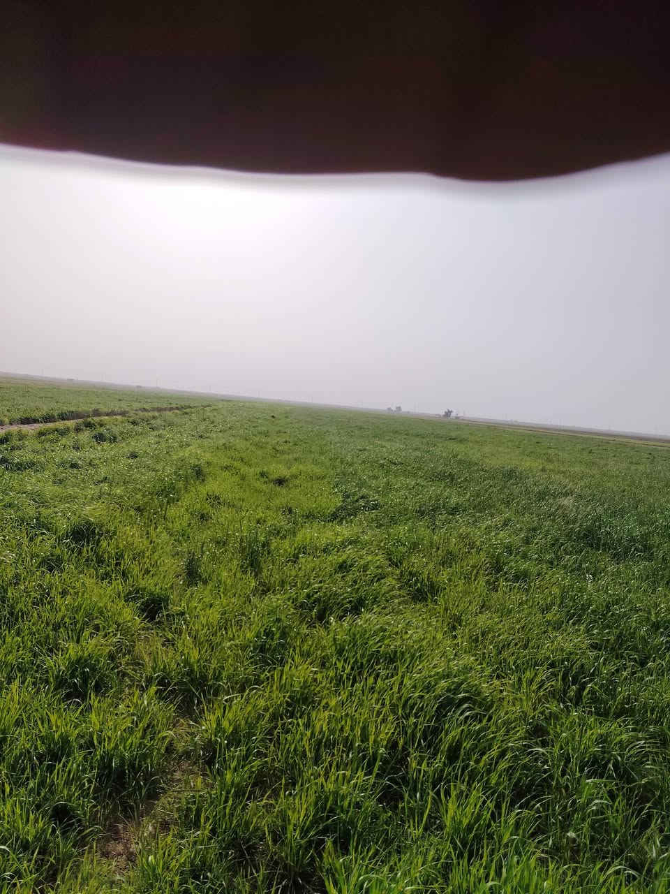 االسلام عليكم  كصيل البيع  مساحه 33دونم خير من الله السعر ع سره الماشي  مكان رحاب قرب ال  مدرسهه
تواصل عبره رقم الهاتف  ***********
