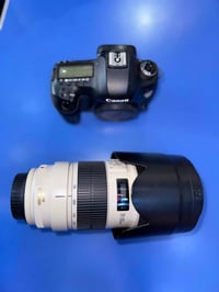 كانون 5D Mark III • عدسة 70-200 مارك II • شتر ٥٠٠٠٠