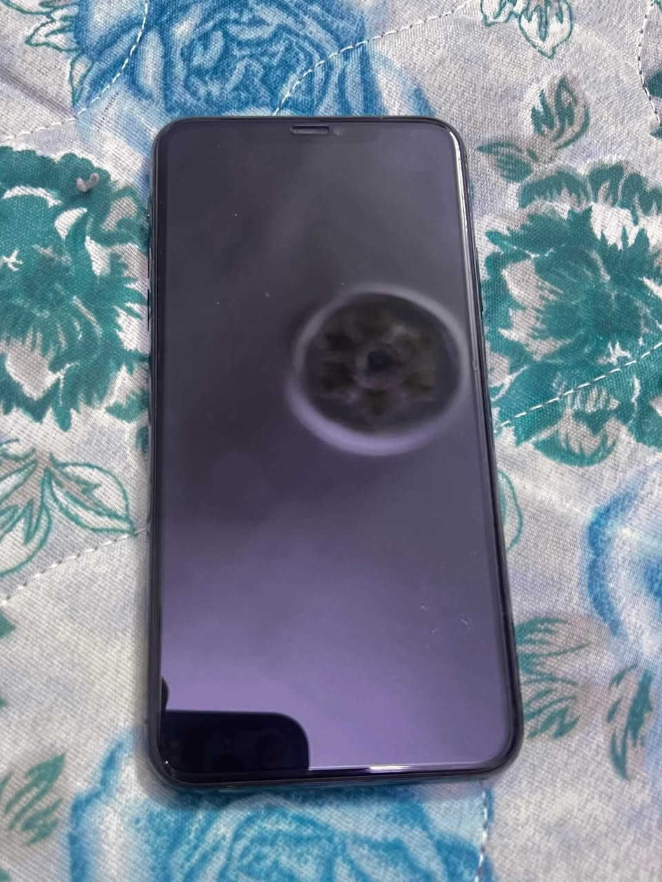 ايفون ١١ برو ماكس ذاكره 256 مكفول كفاله عامه وتر بروف بطاريه 74 شحنه فول اي صرف مابي شرط سعر خاص


**إذا كنت صاحب هذا الإعلان وتريد حذفه لأي سبب، رجاءا أرسل رسالة إلى الدعم الفني**