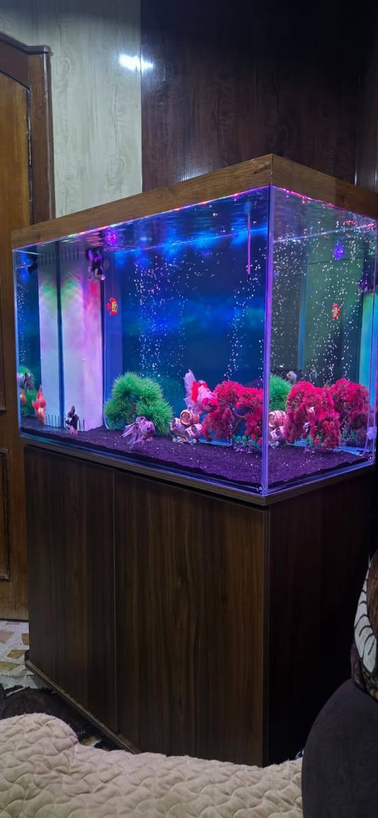 حوض سمك سامب للبيع
قياس متر 
جام10ملم HD
نزال 45
ارتفاع 60مع الميز 
سامب 4مراحل تصفية احترافي.
السعر 500الف وبي مجال للطيبين  
بدون الاسماك واتساب ***********
