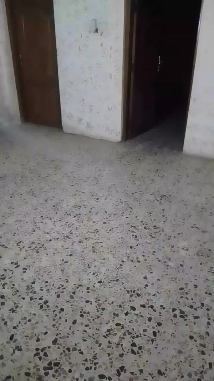 عندي شقه للايجار حي اور غرفتين وهول والملحقات ايجارها 300 والبنايه تحتوي على شقتين فقط
***********
