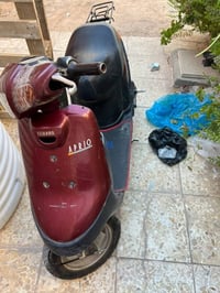 ابريو • بطه