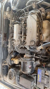 سوناتا • ١٩٩٤ • الرمادي