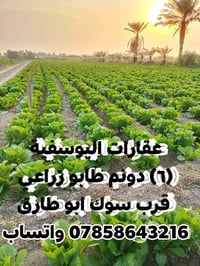 أرض للبيع • البوسيفية • خدمات كاملة