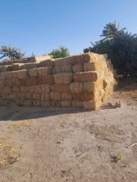 كبس تبن درجه اولى للبيع للاستفسار الاتصال 07740367286 07805423813