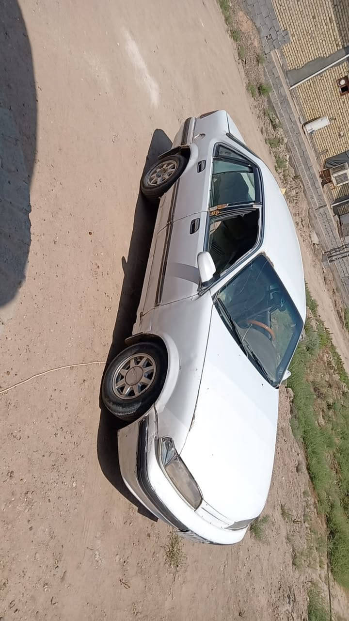 كير ومكيانه فول
كشرها زين
السعر 22
***********
